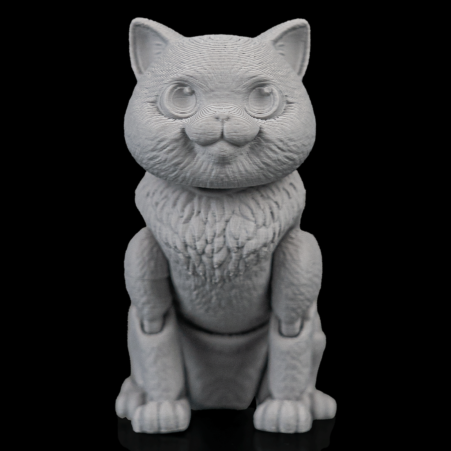 Gato británico de pelo corto articulado Oliver