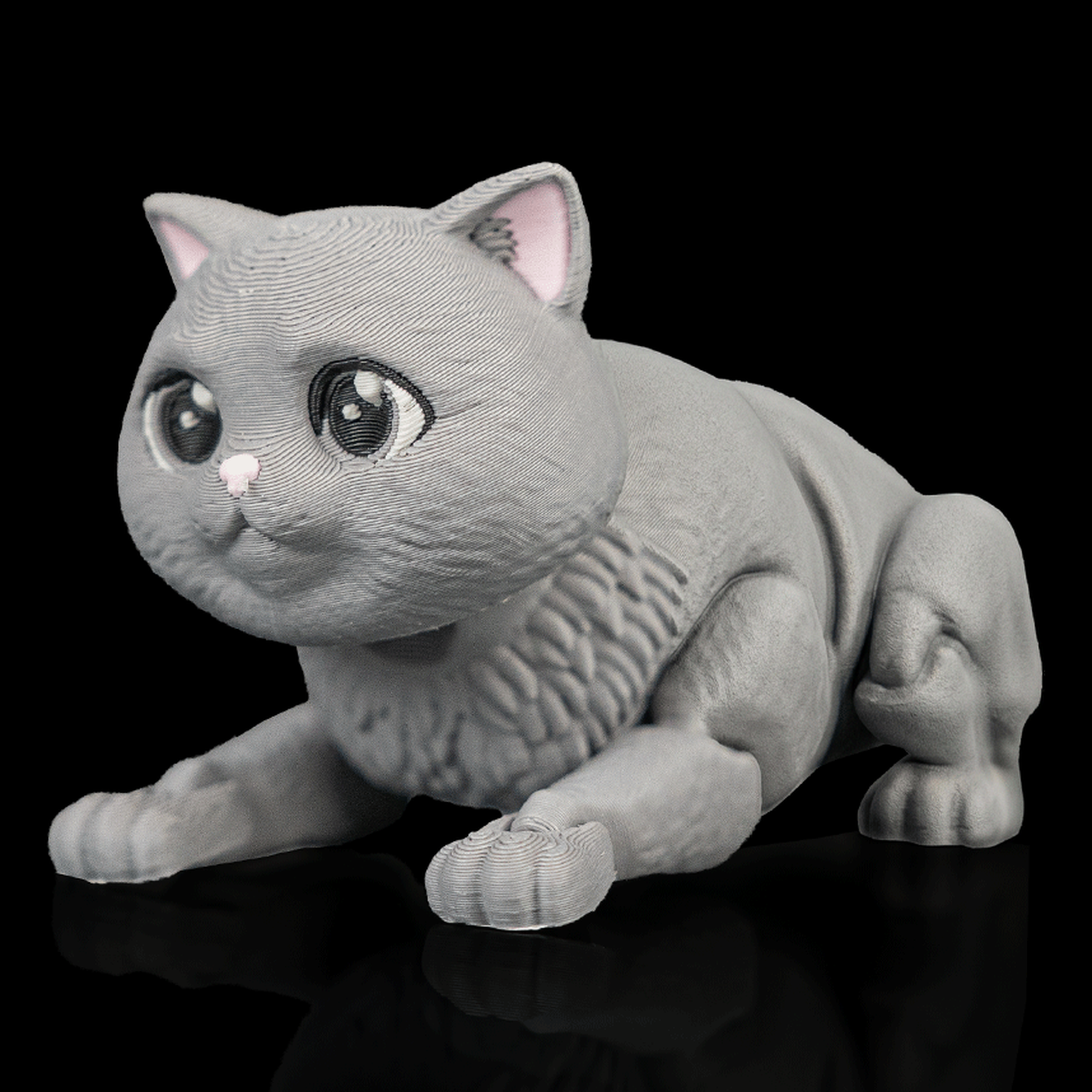 Gato británico de pelo corto articulado Oliver