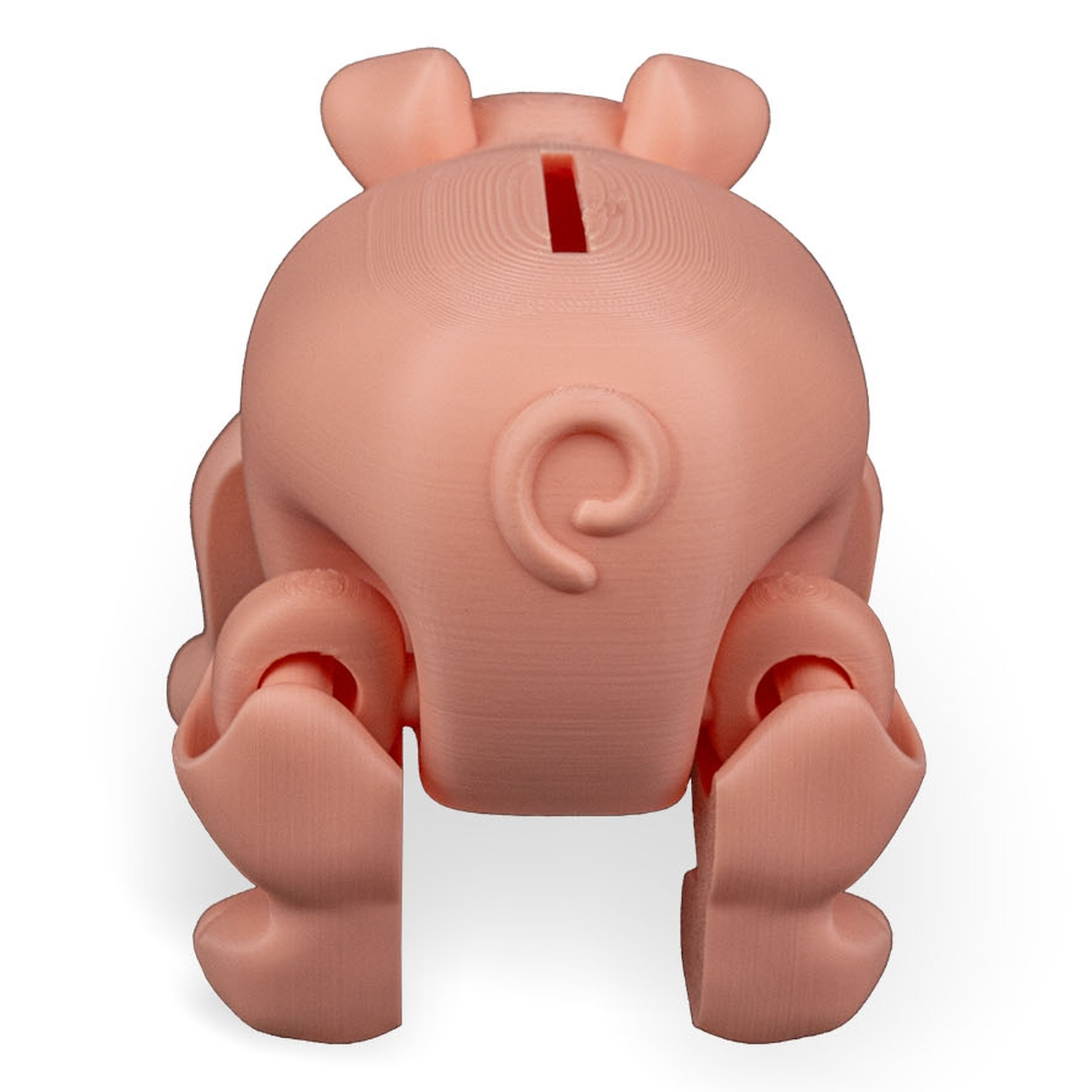 Hucha Chonky