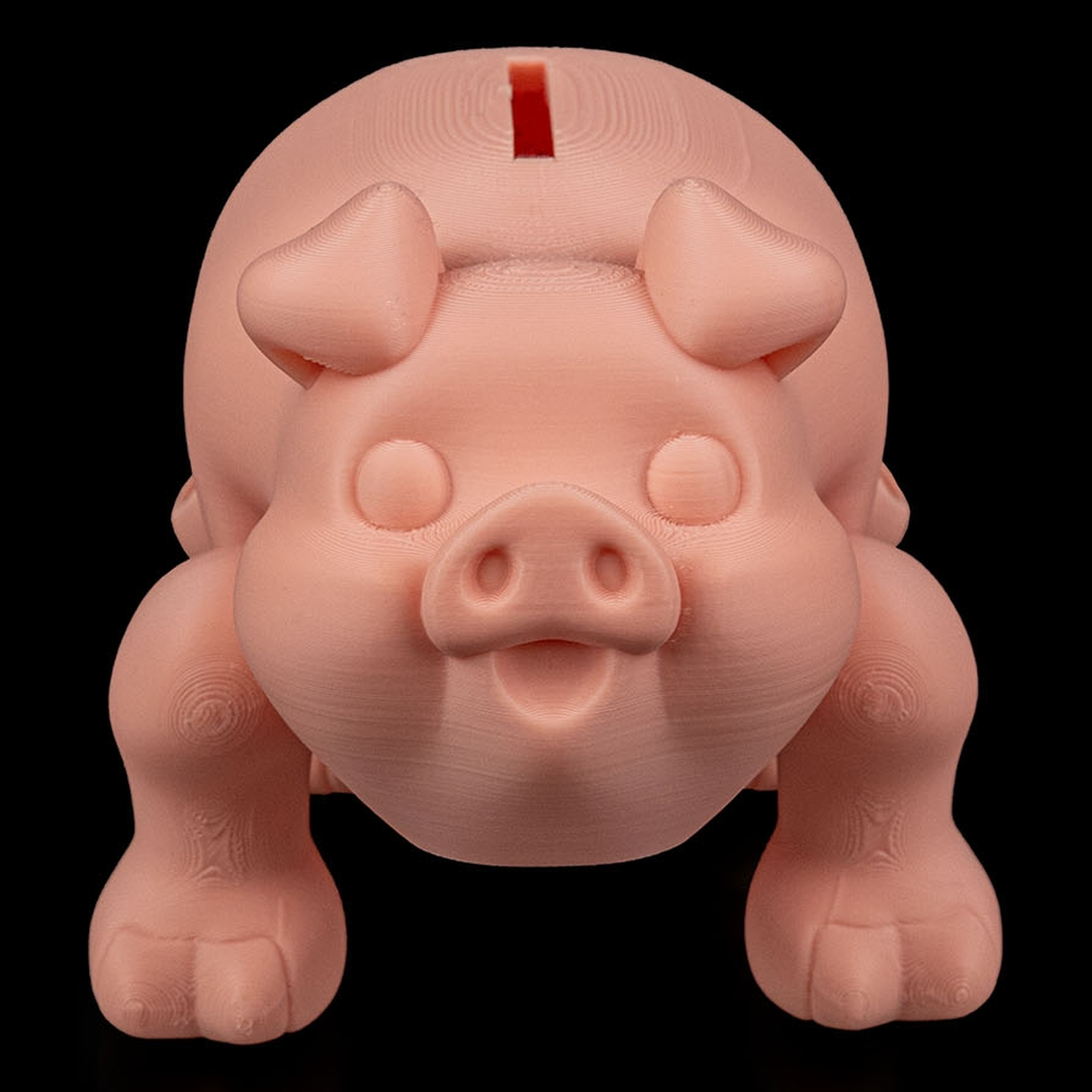 Hucha Chonky