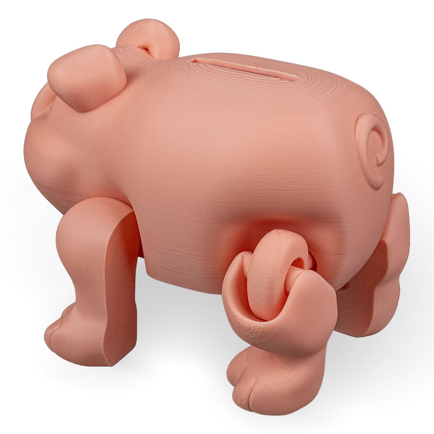 Hucha Chonky