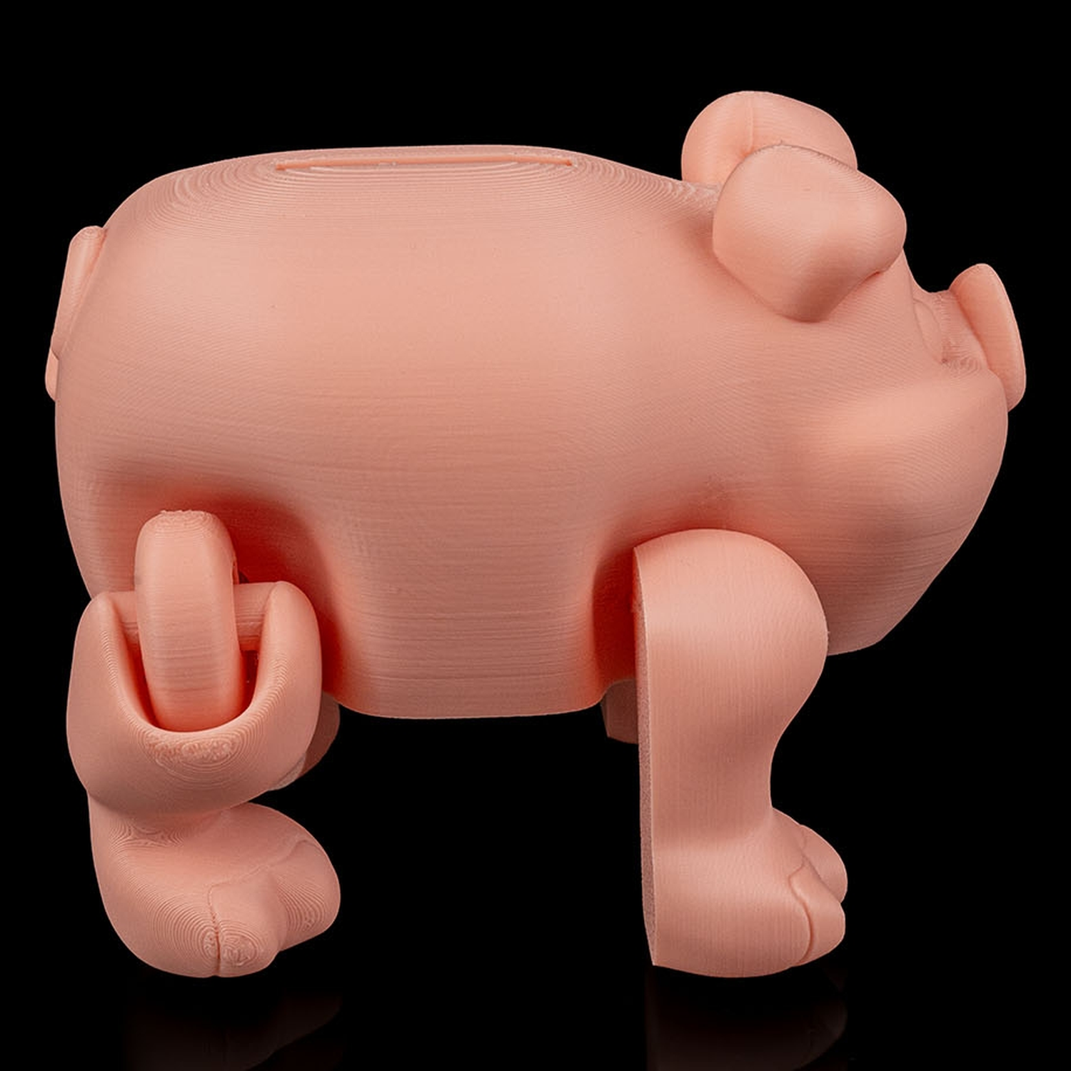 Hucha Chonky