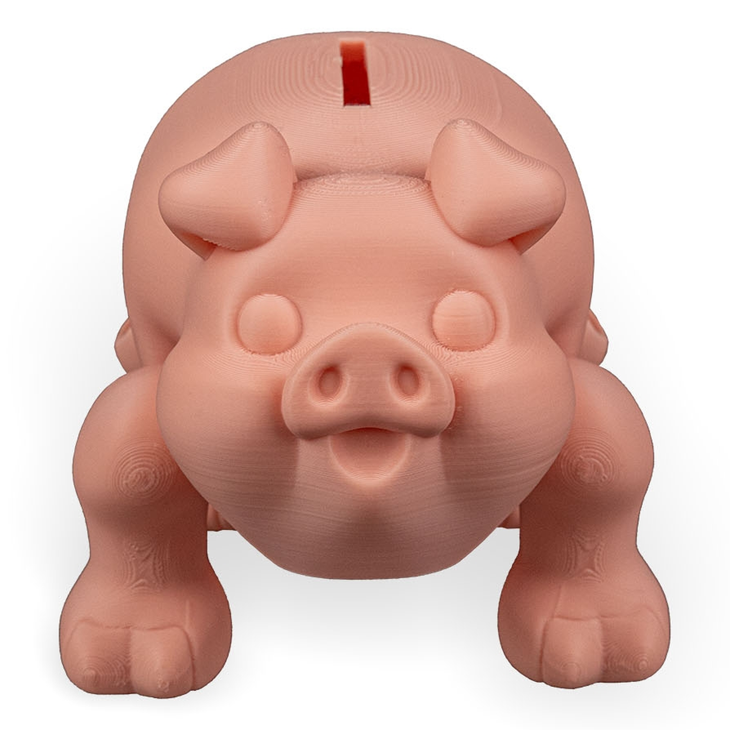 Hucha Chonky