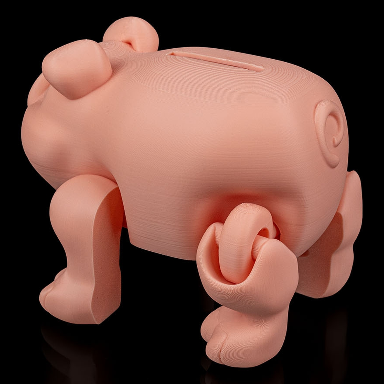 Hucha Chonky
