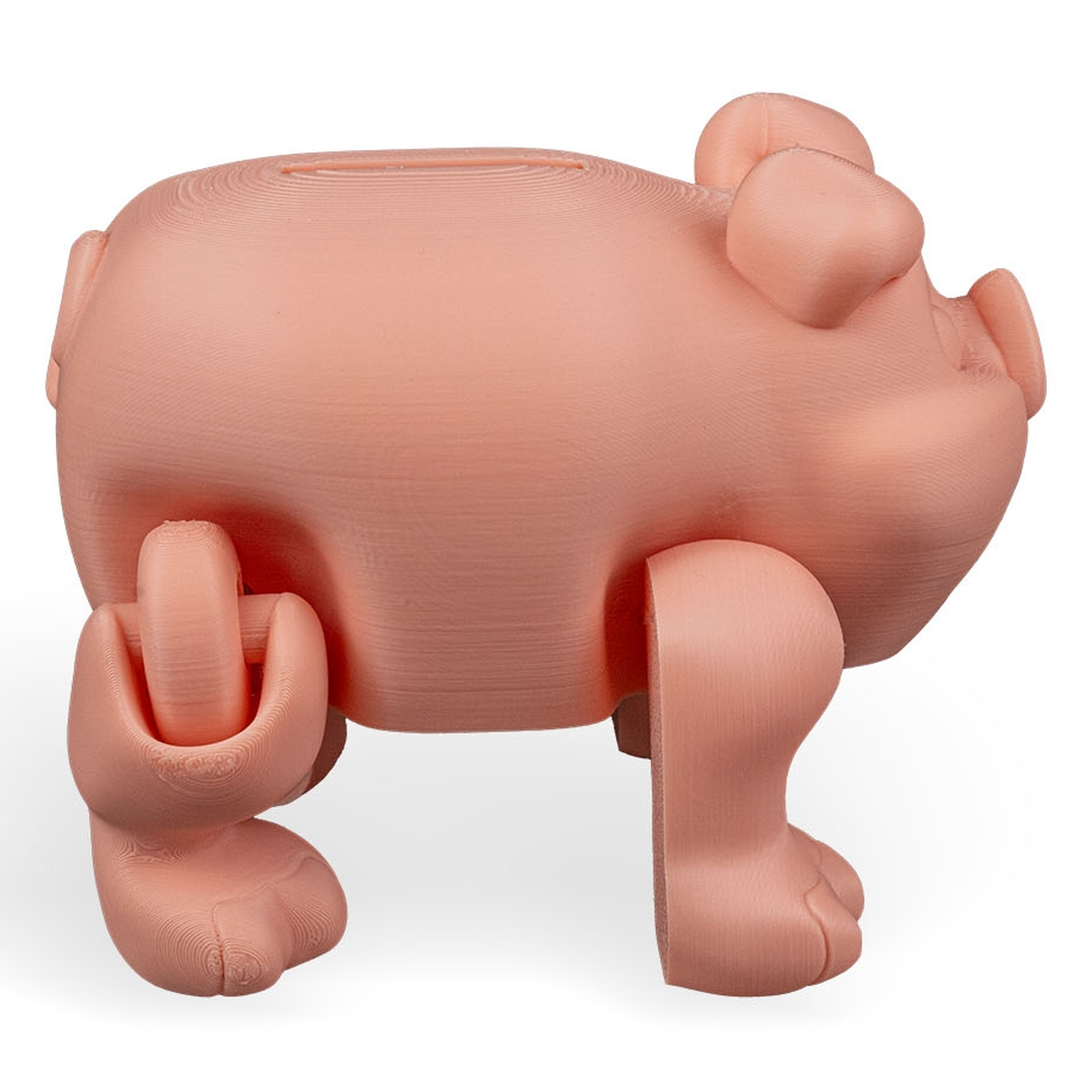 Hucha Chonky