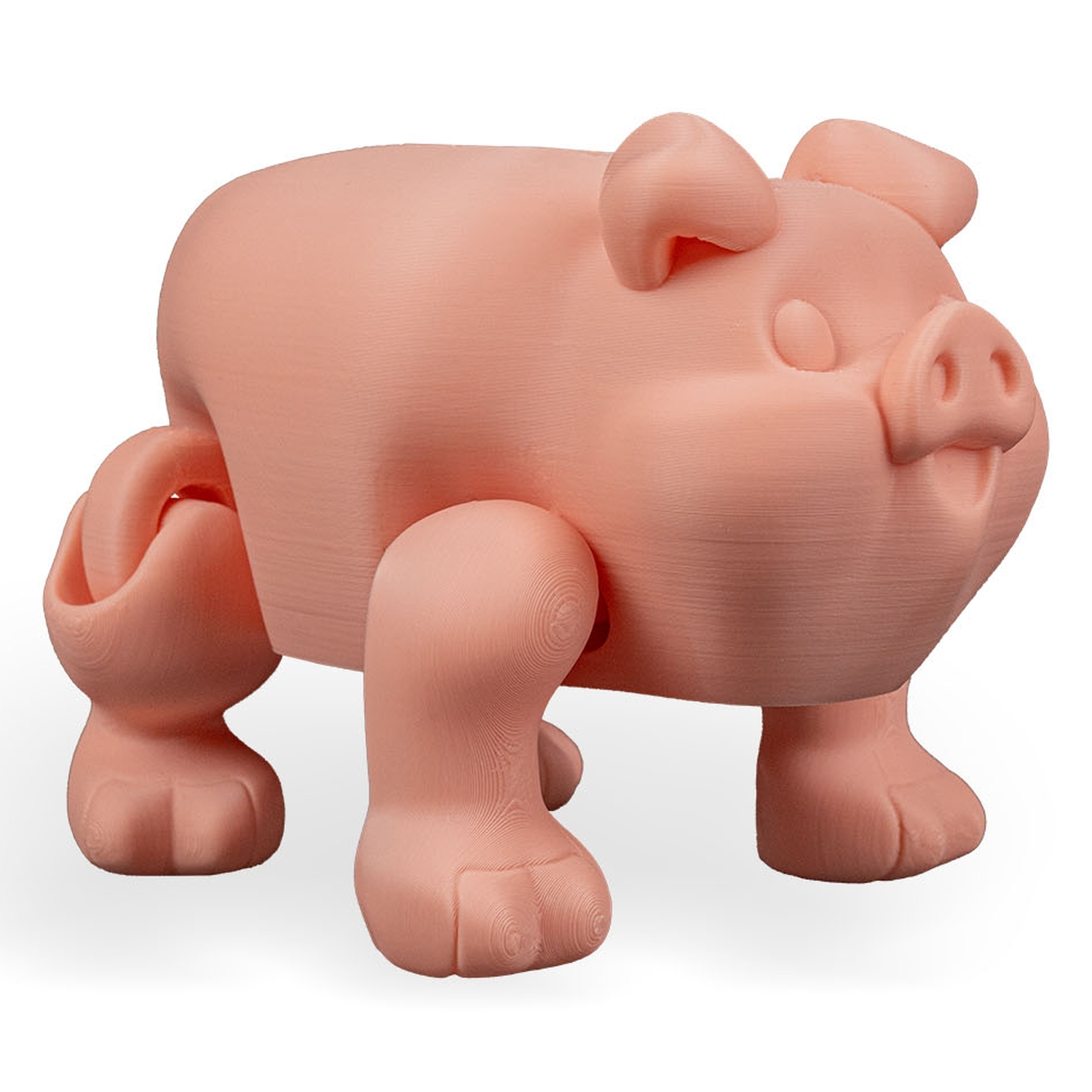 Hucha Chonky