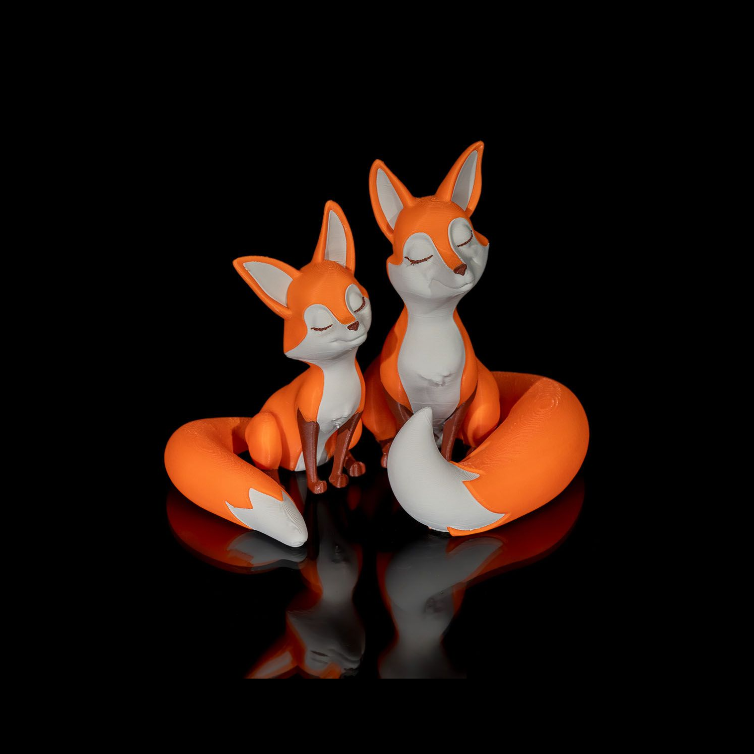 Sujetalibros Wise Fox