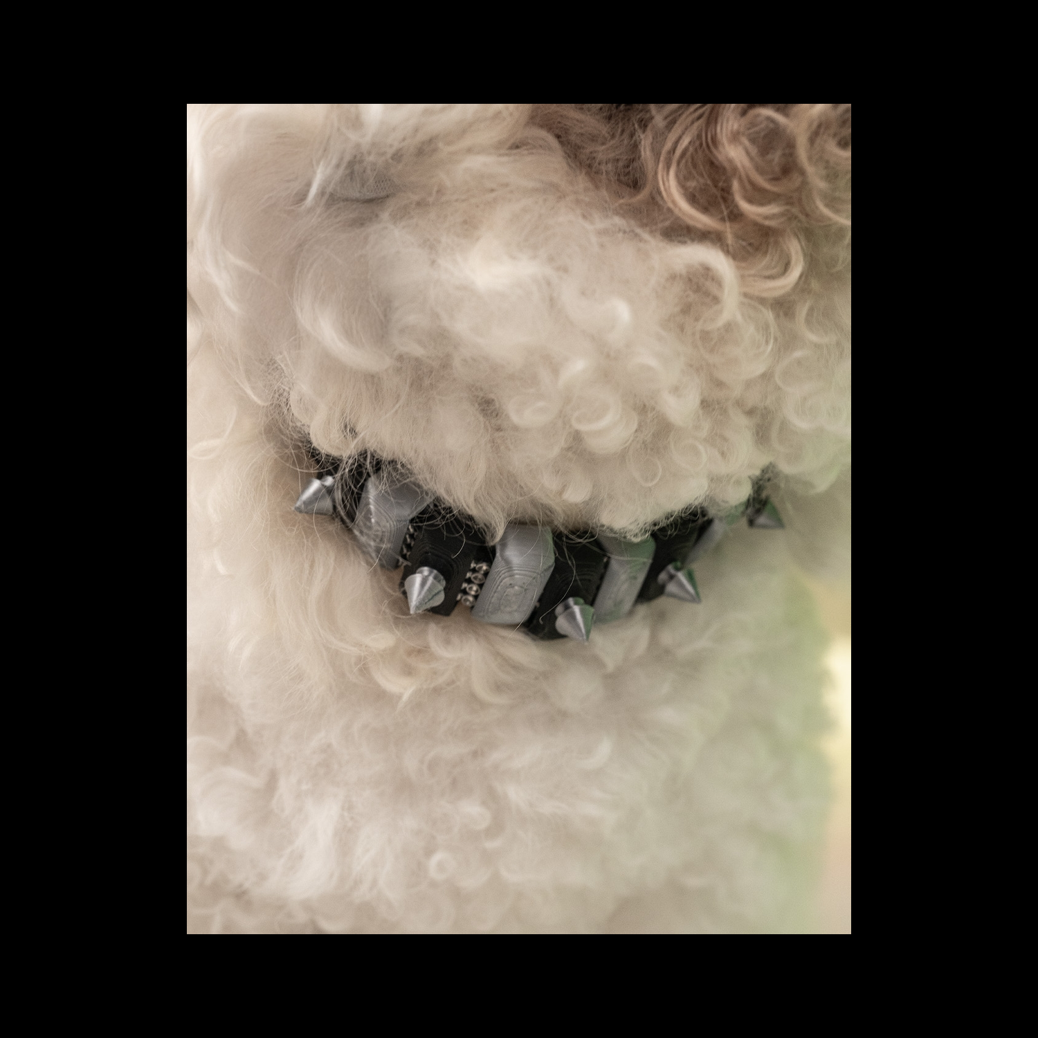 Conjunto de diadema y collar para mascota Punk Pawtitude