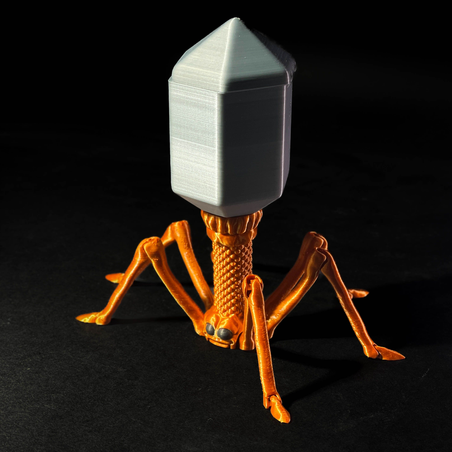 Dispensador de caramelos con forma de bacteriófago articulado