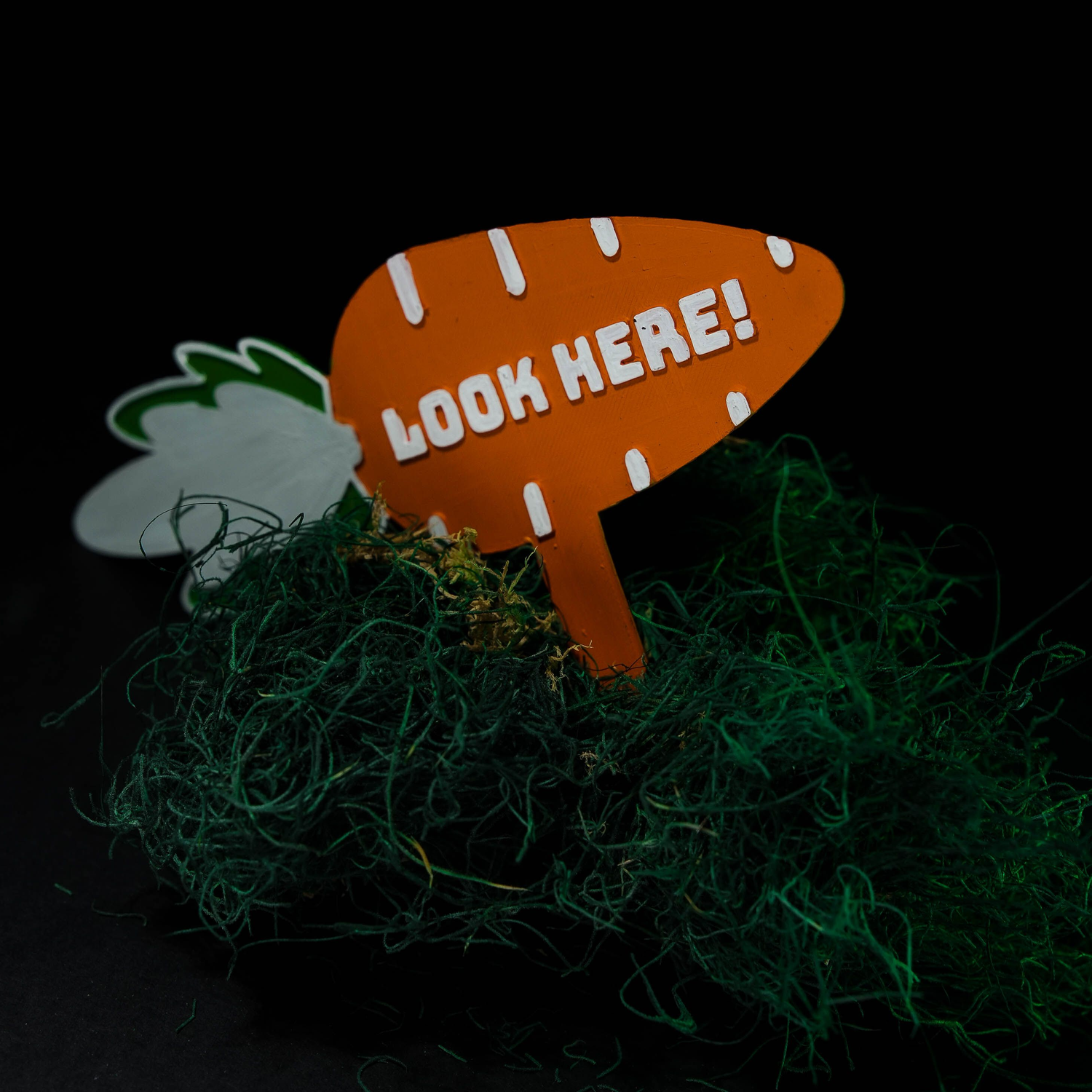Pistas personalizables para búsqueda de huevos Customizable