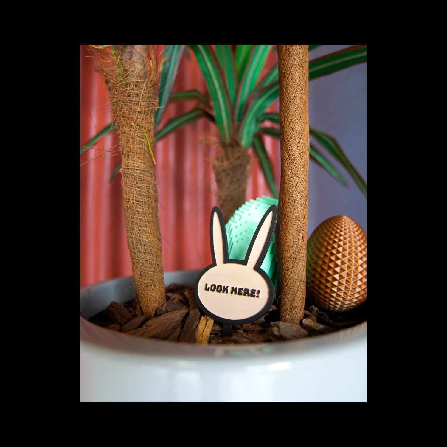 Pistas personalizables para búsqueda de huevos Customizable