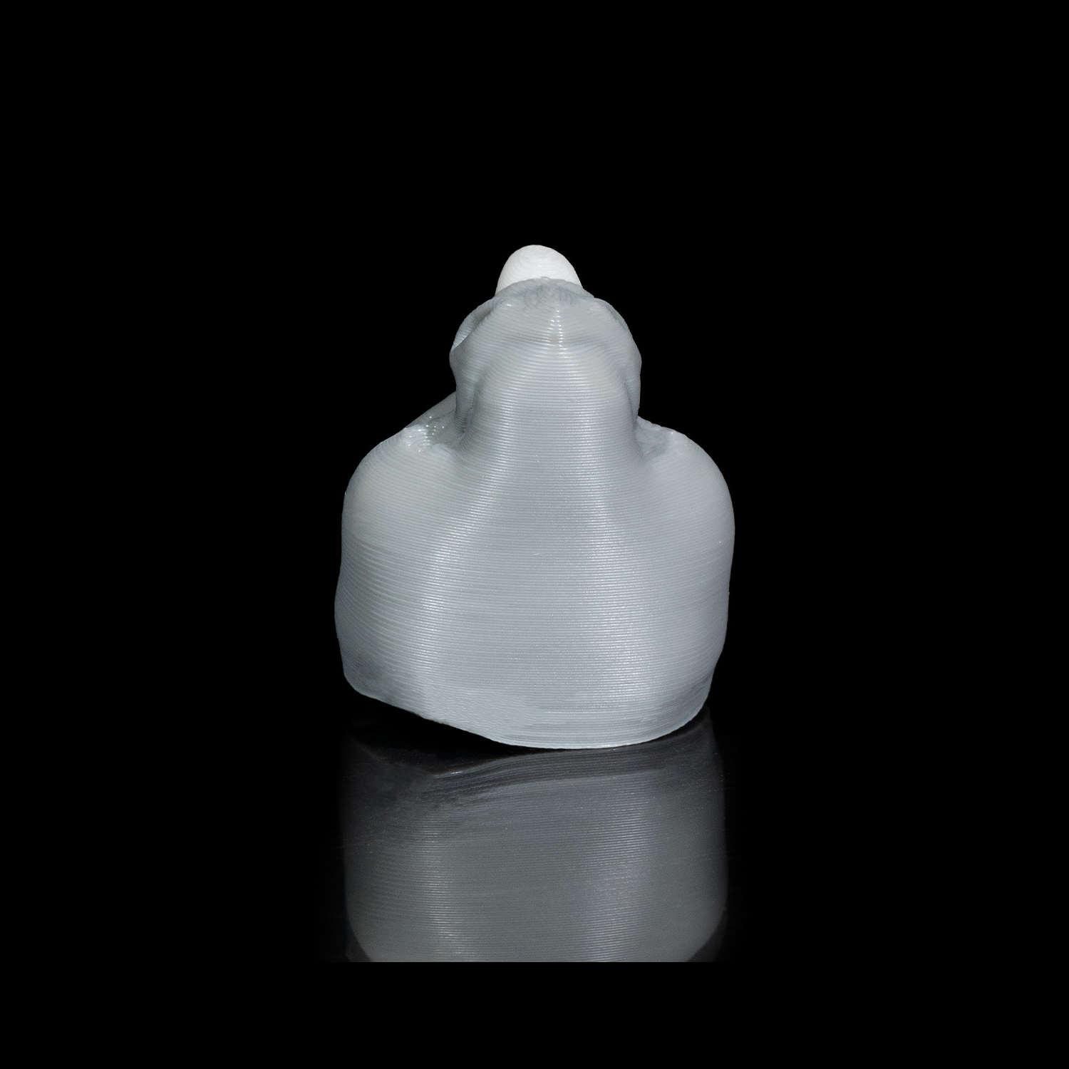 Llavero Rhino