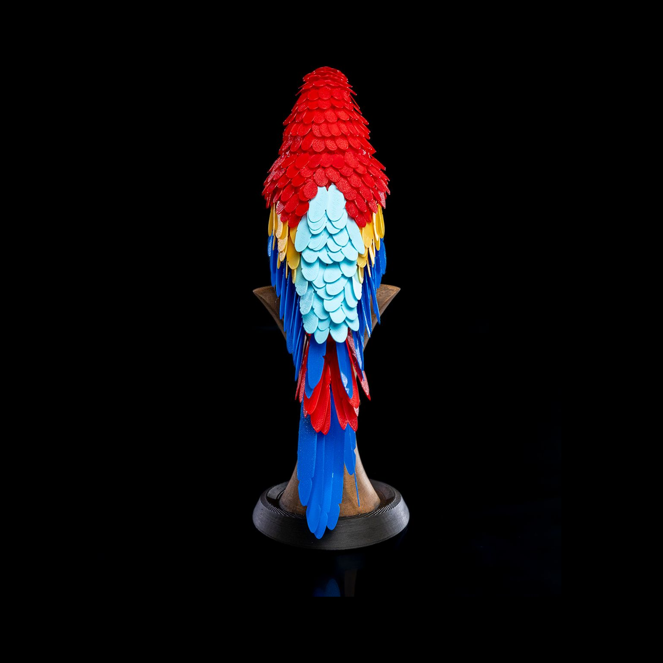 Rompecabezas Macaw Feather