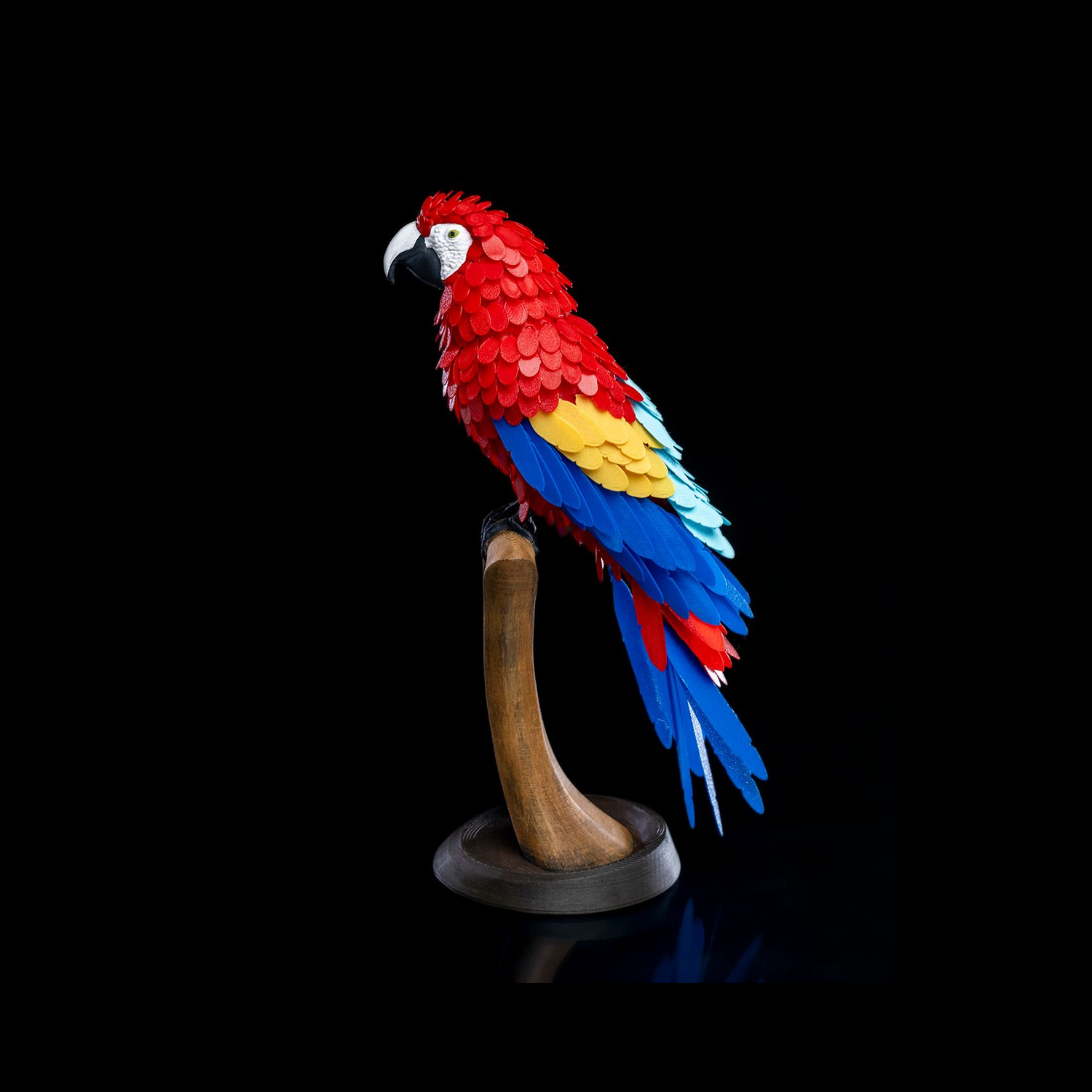 Rompecabezas Macaw Feather