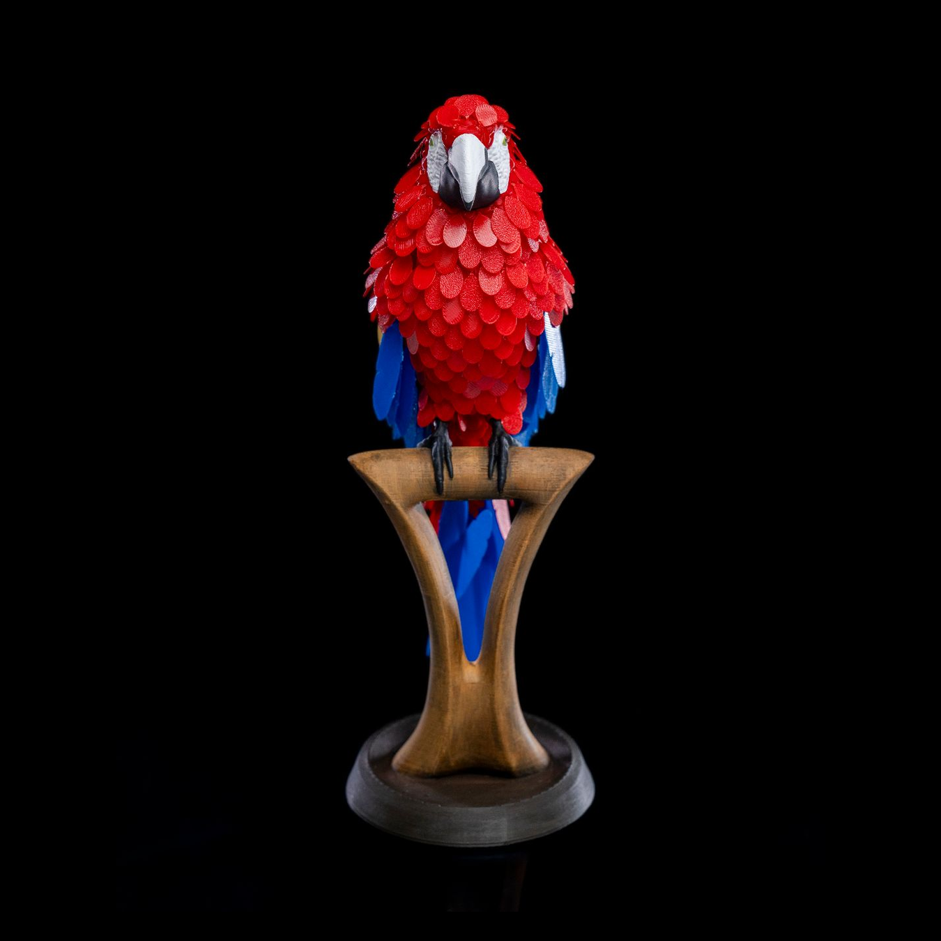 Rompecabezas Macaw Feather