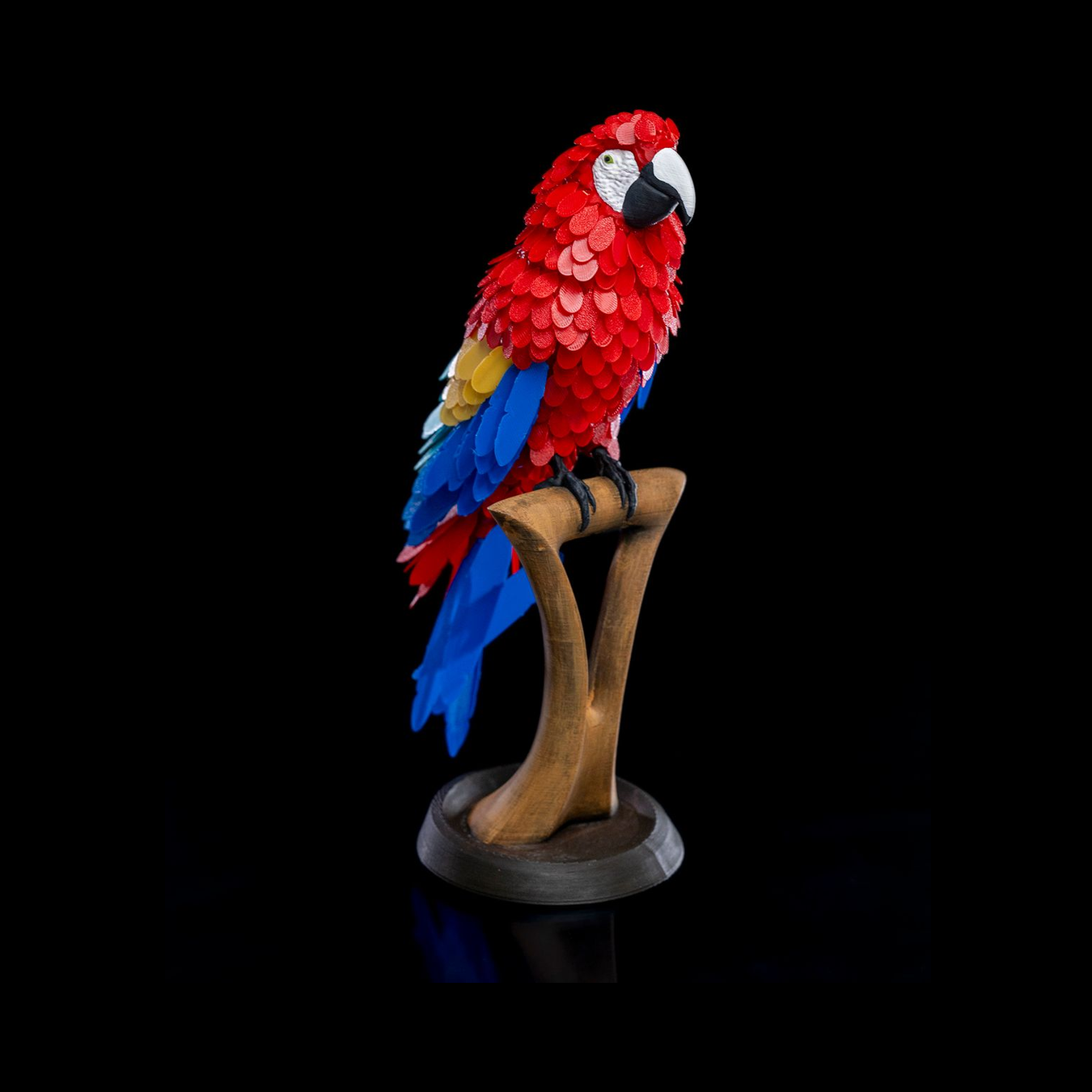 Rompecabezas Macaw Feather