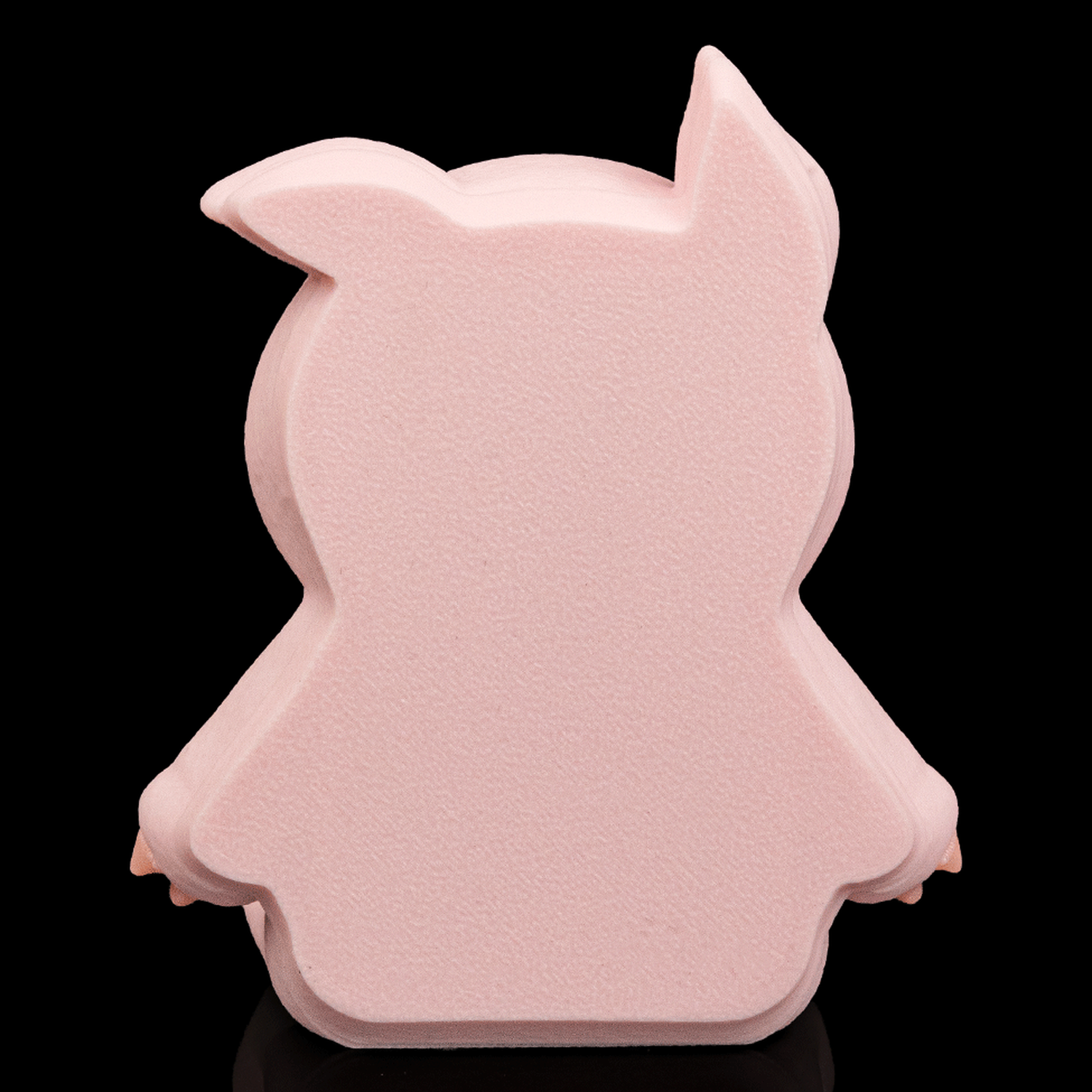 Fidget Pork Belly