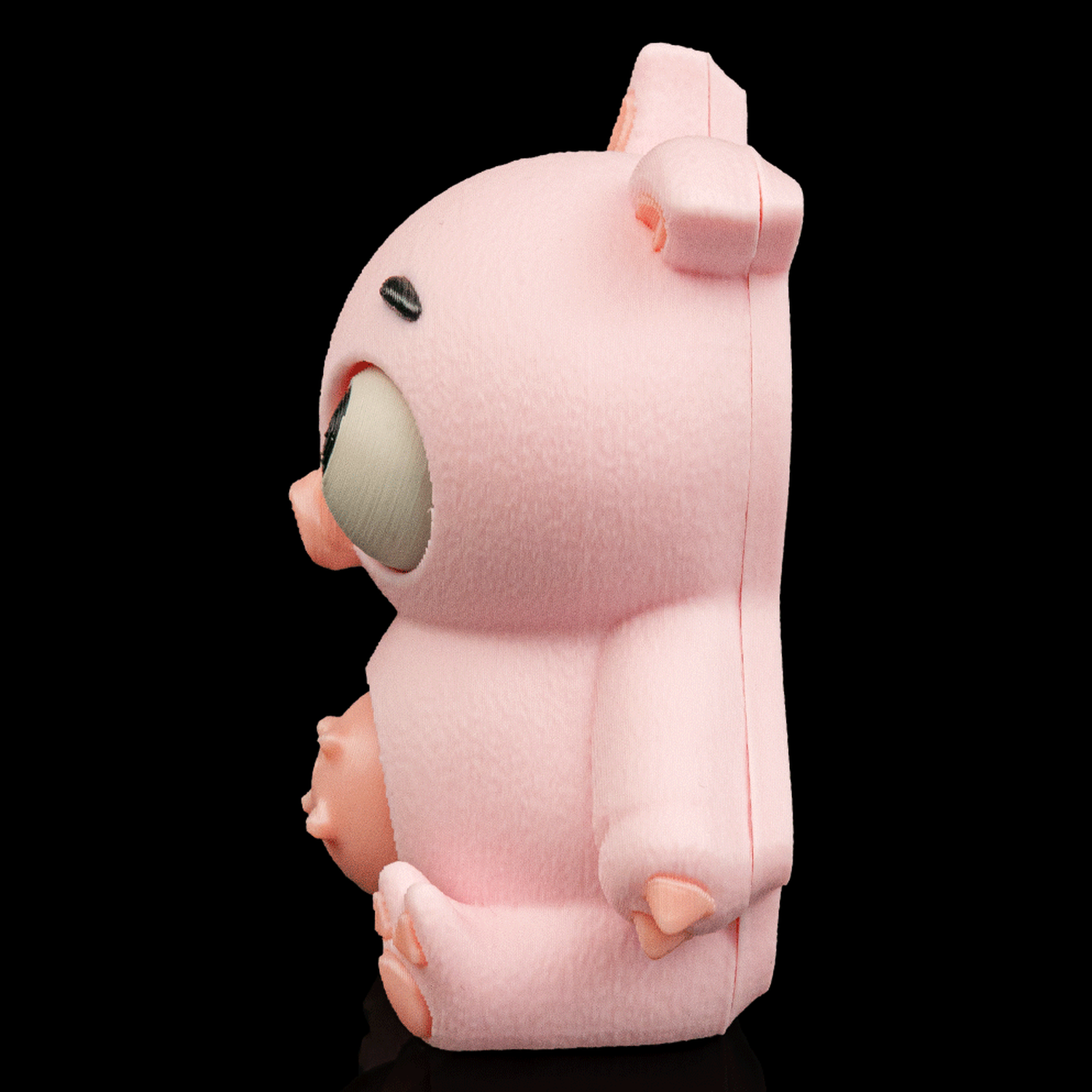 Fidget Pork Belly