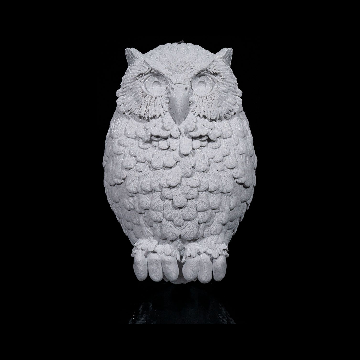 Lámpara de pared Day Owl