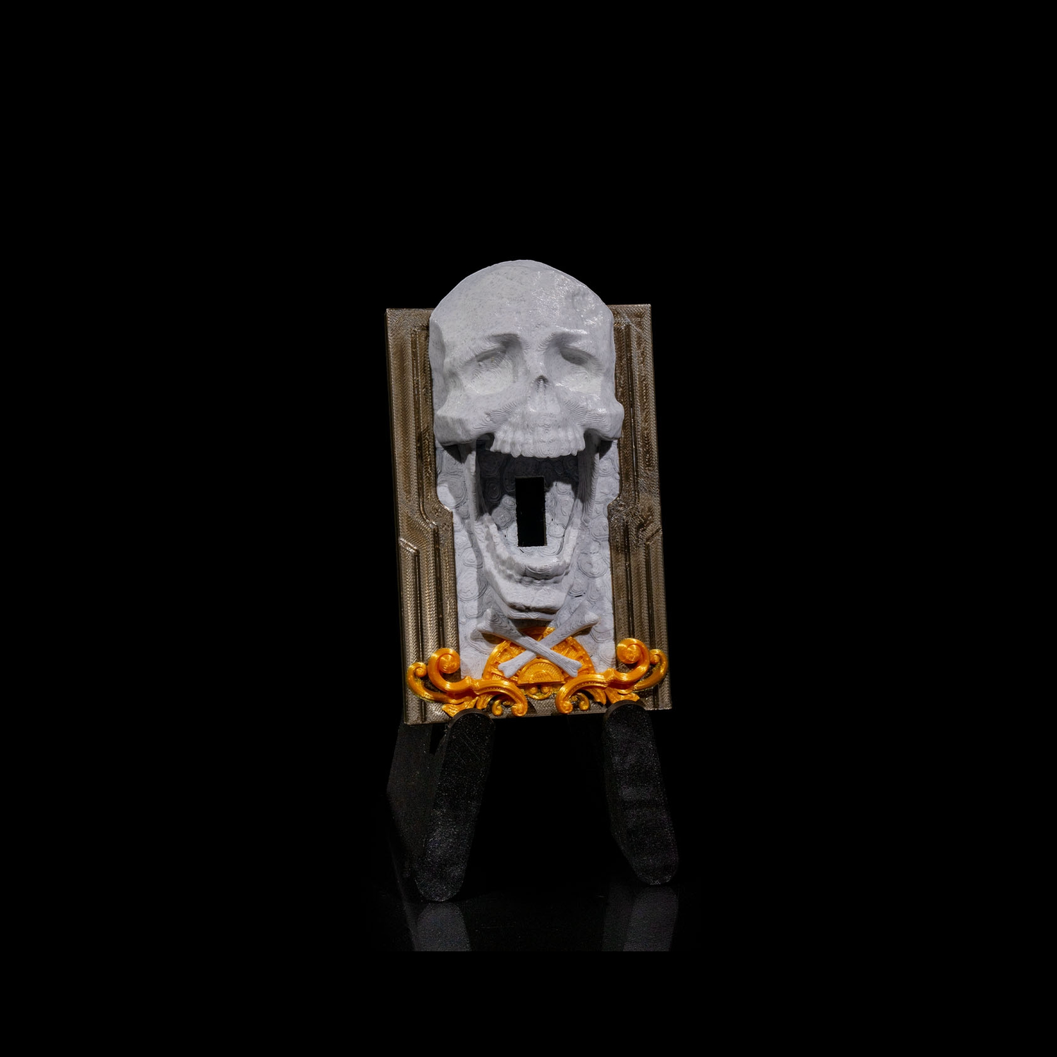 Embellecedor de interruptor Last Wickie
