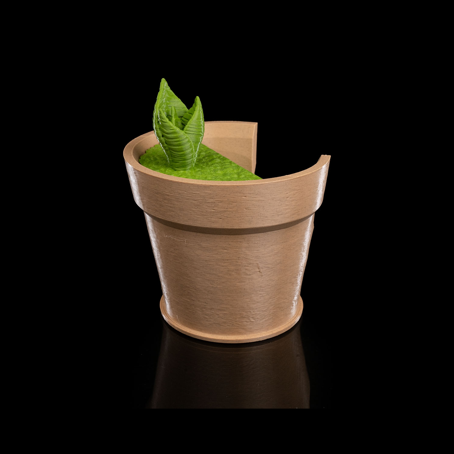 Lámpara de pared Snake Plant