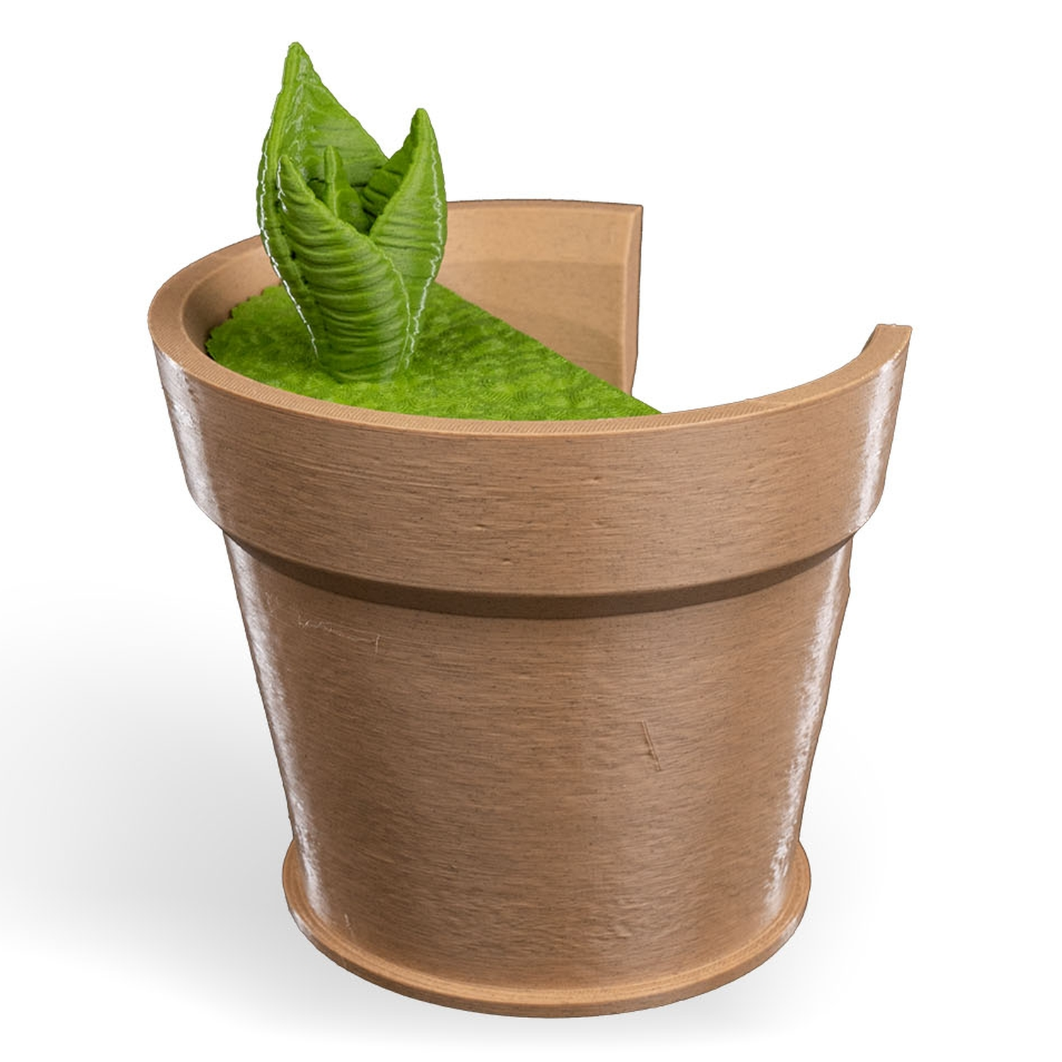 Lámpara de pared Snake Plant